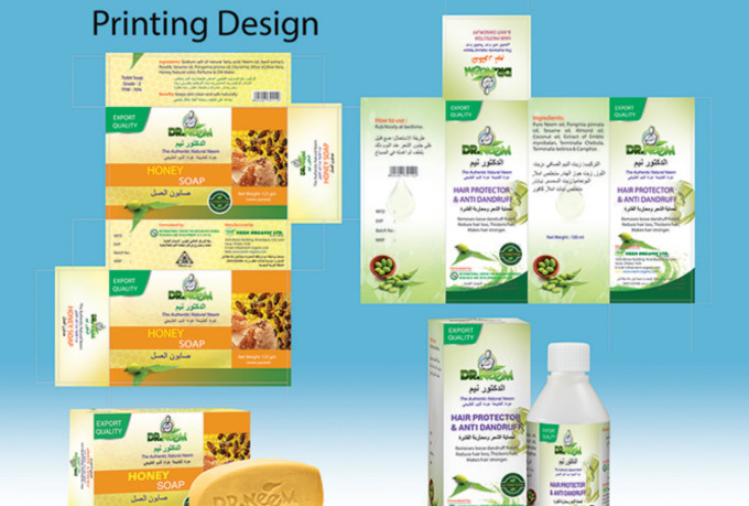 design beautiful logo, floor plan, anything in illustrator, photoshop